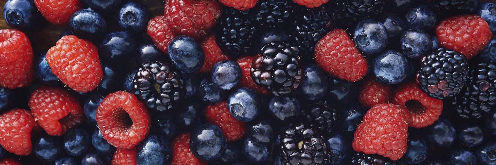 Emotion Polaro Co2Lager