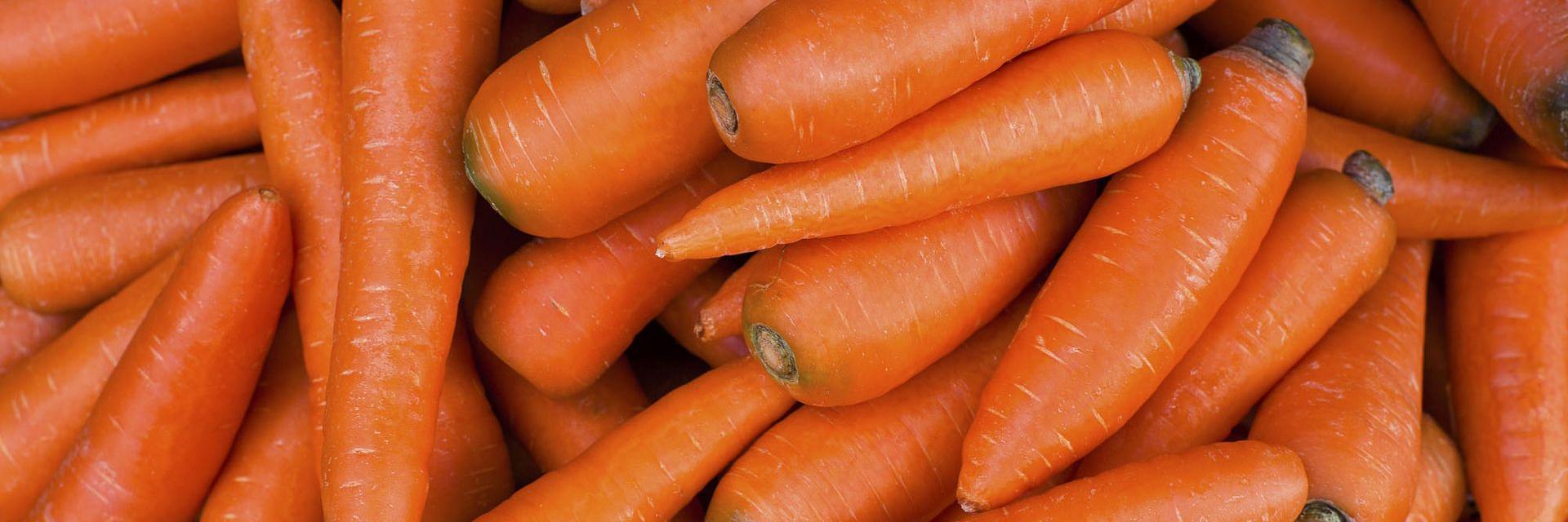 Emotion Polaro Kuehllager