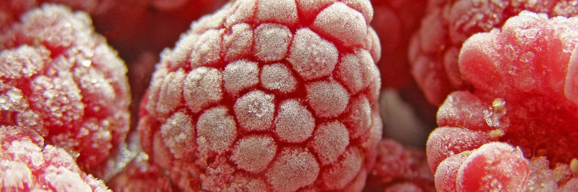 Emotion Polaro TiefkuehlTransport