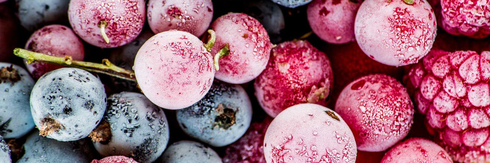 Emotion Polaro Zertifikate